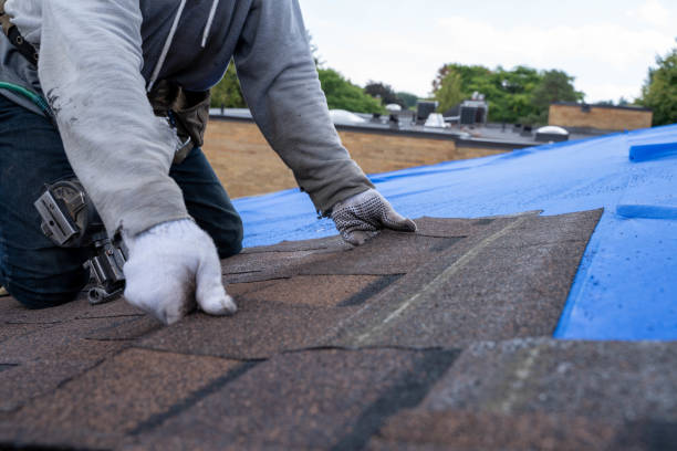 Best Metal Roofing Installation  in Vinco, PA