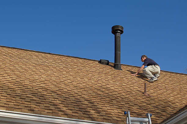 Best Roof Moss and Algae Removal  in Vinco, PA